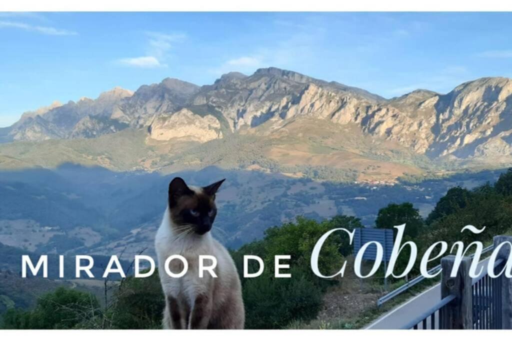 El Mirador De Cobena Ii. Aires De Liebana En Picos Apartment Exterior foto